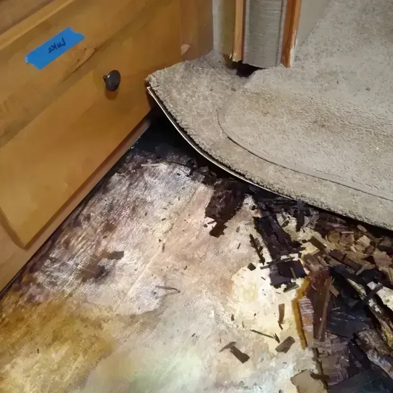 Best Wood Floor Water Damage Service in Chebanse, IL